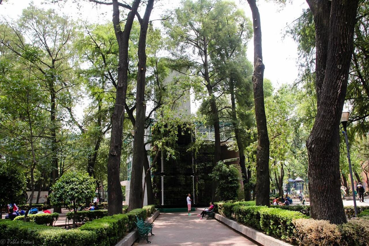 Hotel Patriotismo Meksika Dış mekan fotoğraf